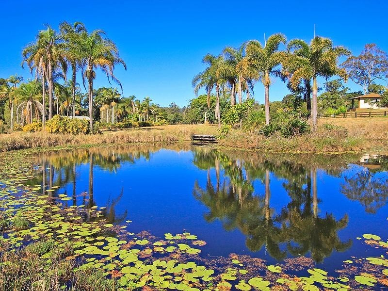 250 Birds Road, Guanaba QLD 4210