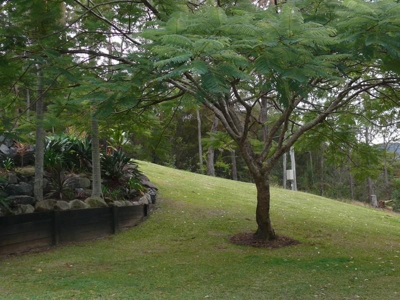 1029 Tamborine-Oxenford Road, Wongawallan QLD 4210