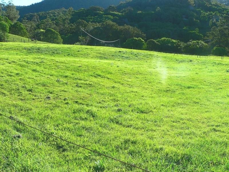 359A Ruffles Road, Willow Vale QLD 4209