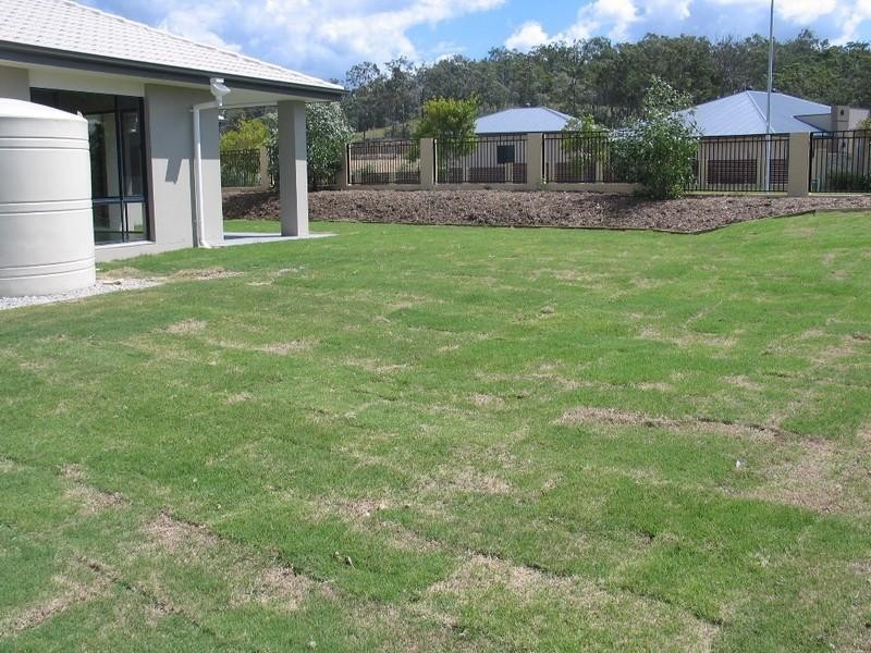 10 Amaranth Crescent, Upper Coomera QLD 4209