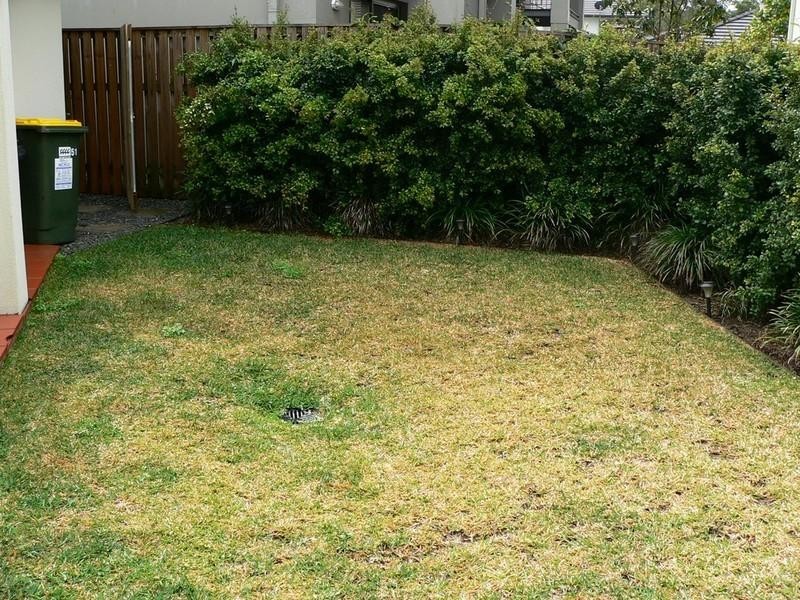 51/24 Jessica Drive, Upper Coomera QLD 4209