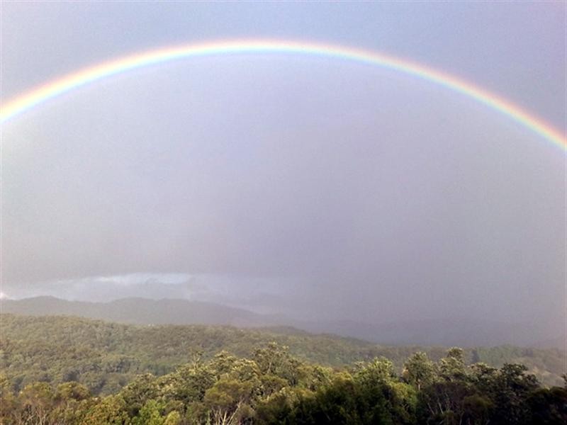 28 Hidden Court, Ormeau QLD 4208