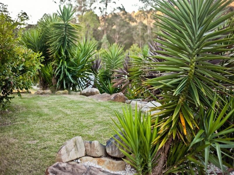 88 Treeline Circuit, Upper Coomera QLD 4209