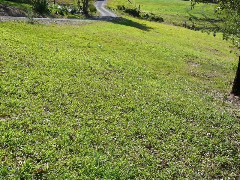 421 Ruffles Road, Willow Vale QLD 4209