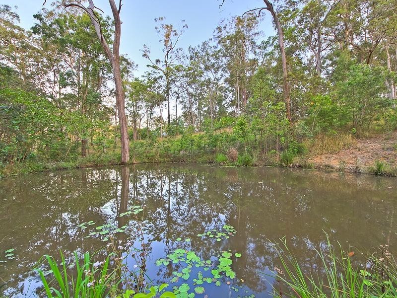 7 Fern Tree Gully Drive, Willow Vale QLD 4209