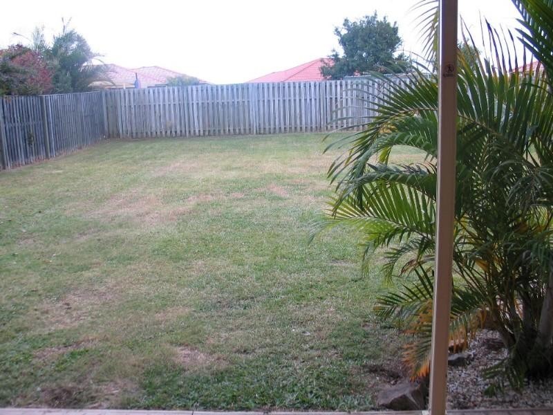 37 Rivermeadows Drive, Upper Coomera QLD 4209