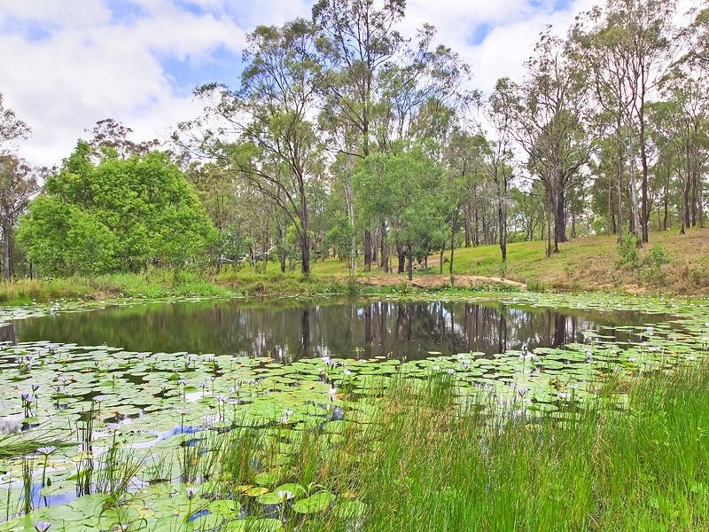 Willow Vale QLD 4209