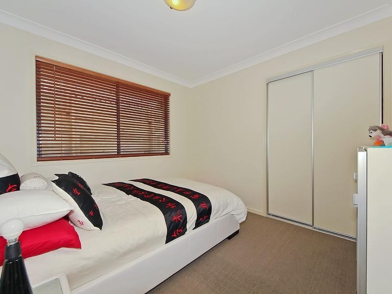 16 Torrington Street, Upper Coomera QLD 4209