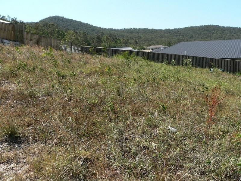 55 Heatherdale Drive, Upper Coomera QLD 4209