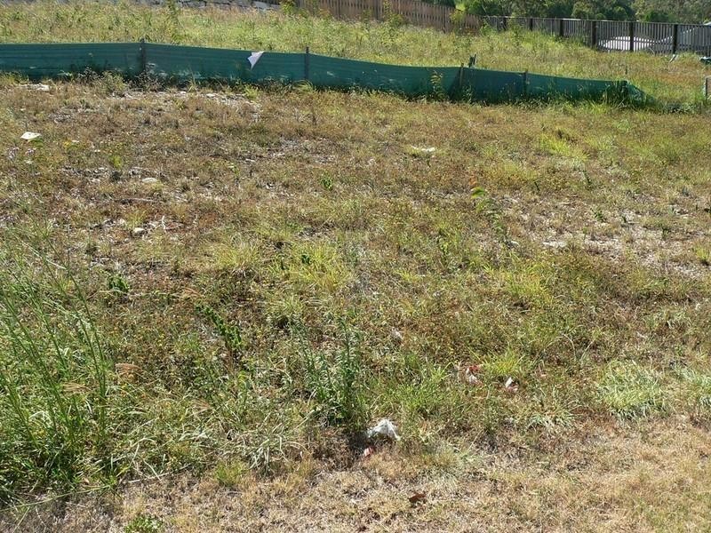 55 Heatherdale Drive, Upper Coomera QLD 4209