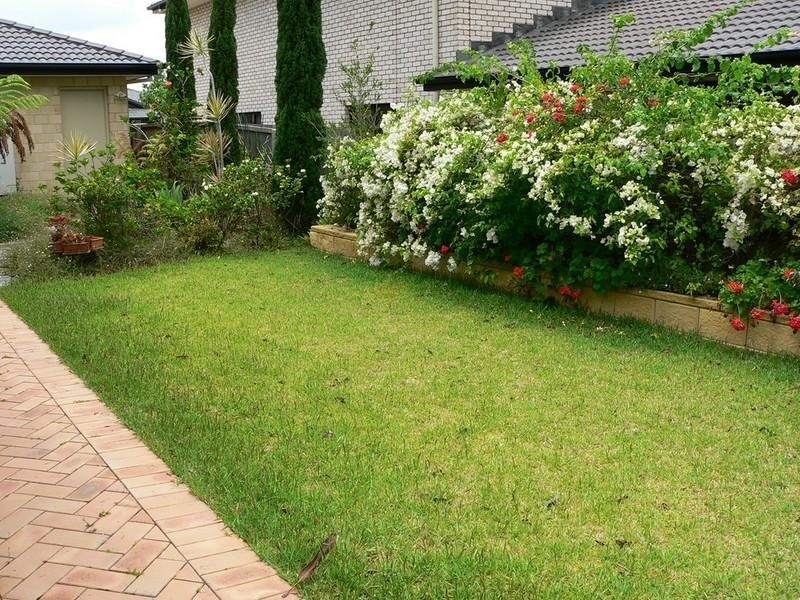 97 Bridie Drive, Upper Coomera QLD 4209