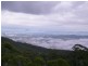 Tamborine Mountain QLD 4272