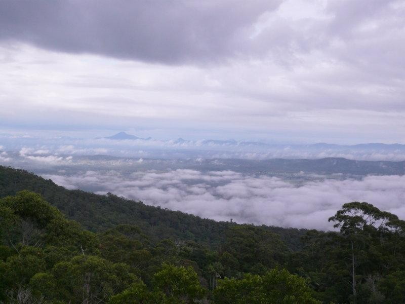 Tamborine Mountain QLD 4272