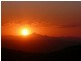 Tamborine Mountain QLD 4272
