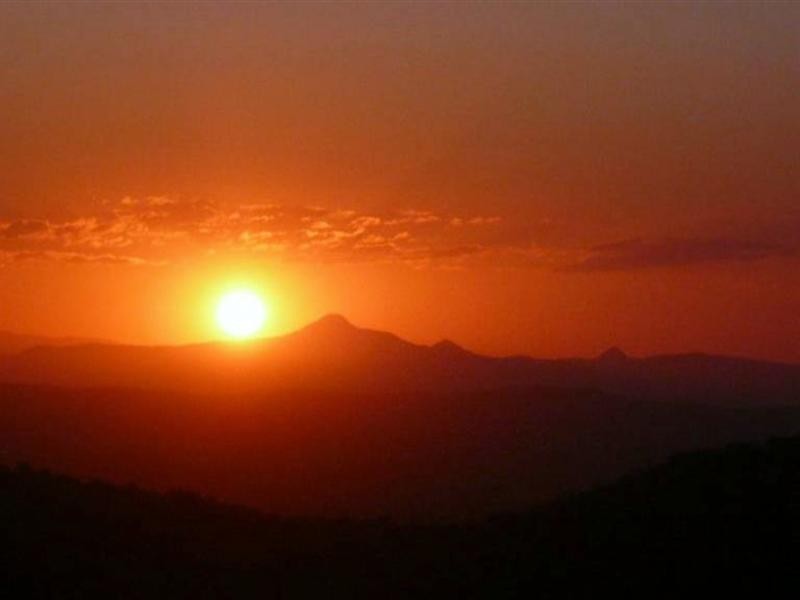 Tamborine Mountain QLD 4272