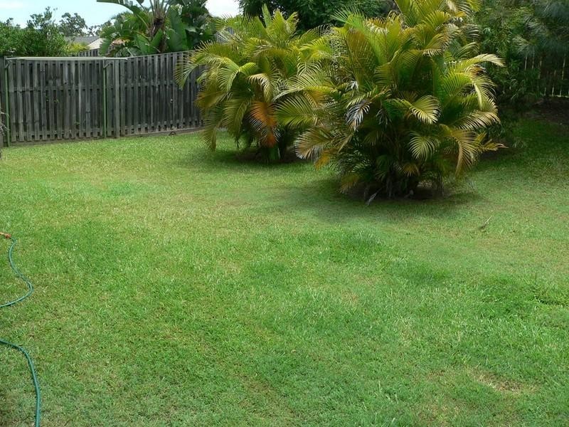 Upper Coomera QLD 4209