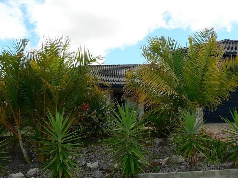 14 Wellers Street, Pacific Pines QLD 4211