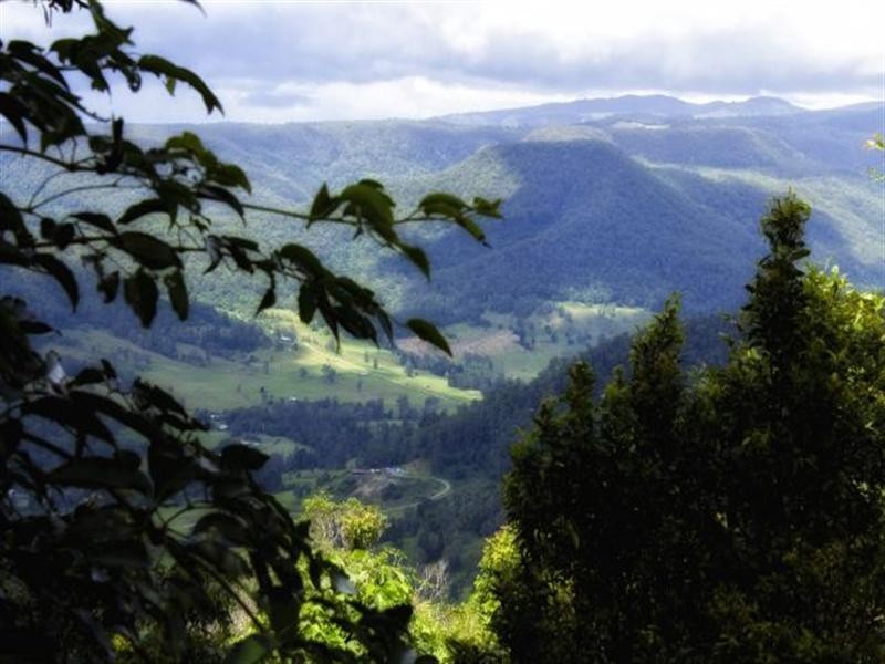 4 Maple Court, Beechmont QLD 4211