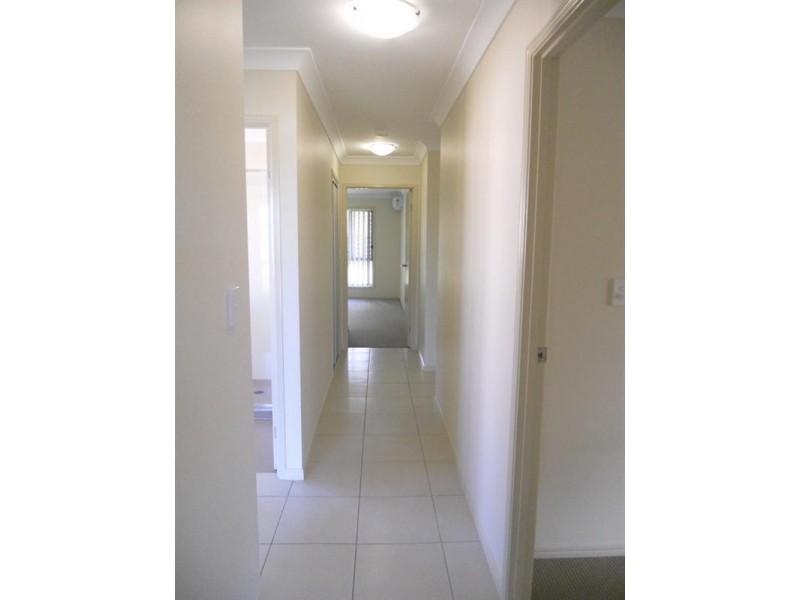 49 Macleay Circuit, Upper Coomera QLD 4209