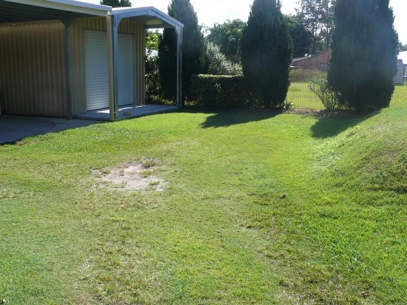 Jacobs Well QLD 4208