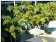 2 Activa Way, Hope Island QLD 4212