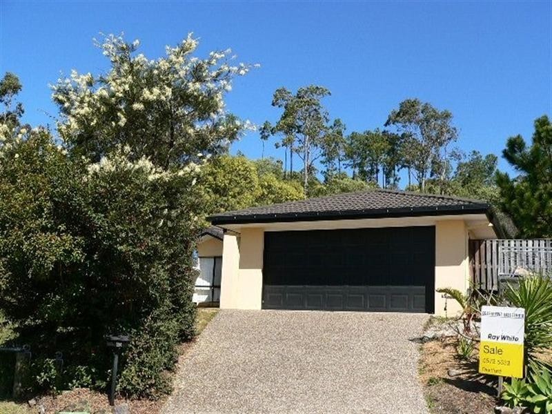 43 Carter Street, Pacific Pines QLD 4211