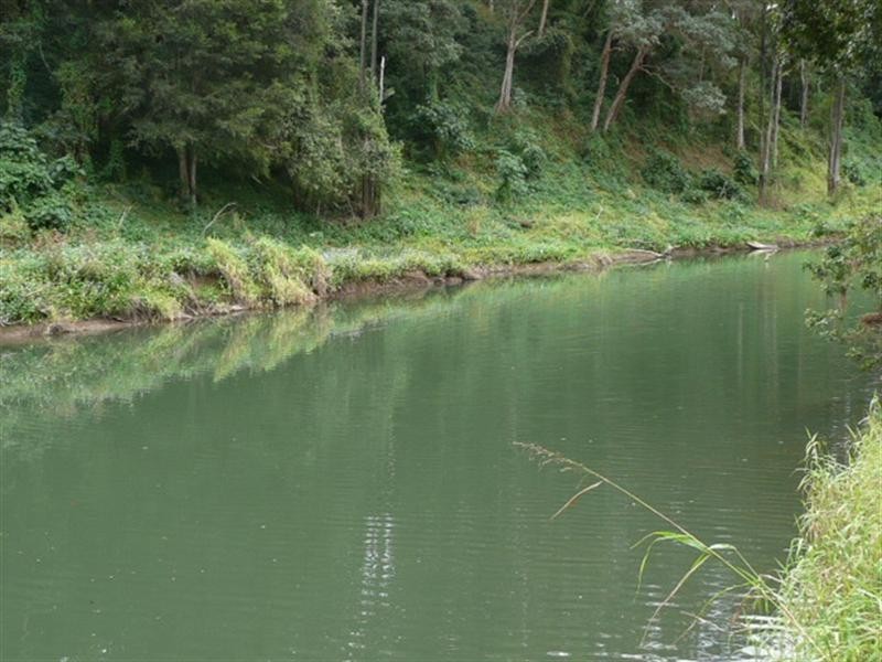 26 Braeside Crescent, Maudsland QLD 4210