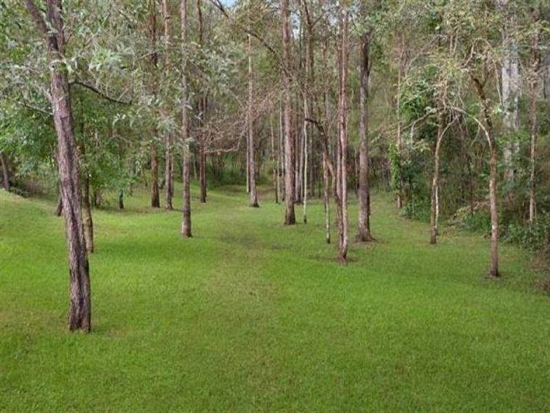 19 Asher Court, Upper Coomera QLD 4209