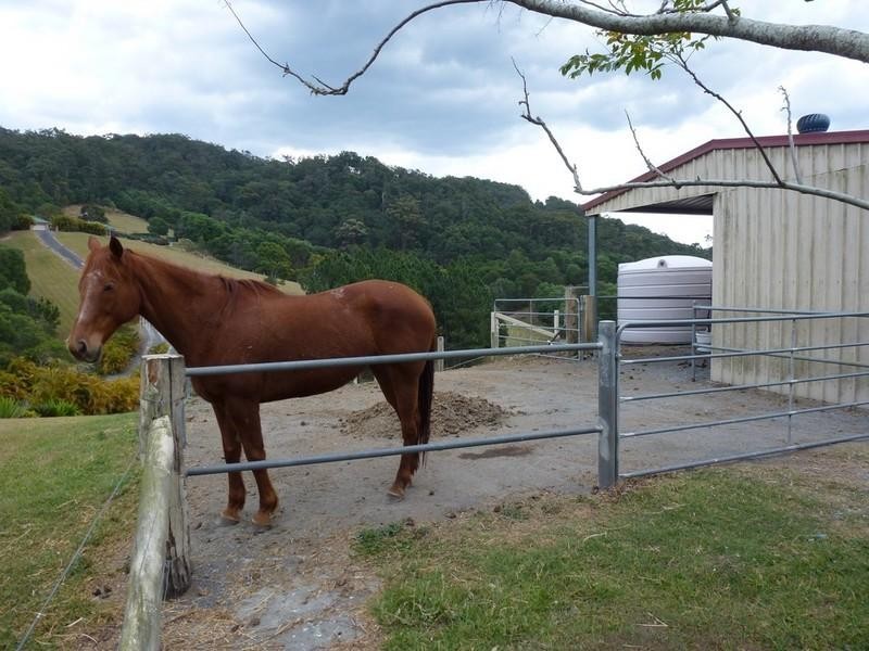 4 Polo Close, Wongawallan QLD 4210