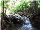 Lot 4 298 Dungay Creek Road * Dungay, Murwillumbah NSW 2484
