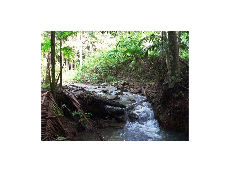 Lot 4 298 Dungay Creek Road * Dungay, Murwillumbah NSW 2484