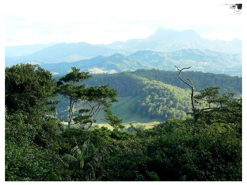 Lot 4 298 Dungay Creek Road * Dungay, Murwillumbah NSW 2484