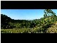 Lot 4 298 Dungay Creek Road * Dungay, Murwillumbah NSW 2484