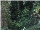 Lot 4 298 Dungay Creek Road * Dungay, Murwillumbah NSW 2484