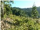 Lot 4 298 Dungay Creek Road * Dungay, Murwillumbah NSW 2484