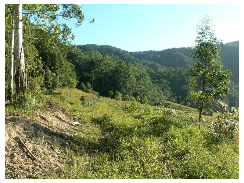 Lot 4 298 Dungay Creek Road * Dungay, Murwillumbah NSW 2484