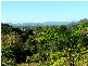 Lot 4 298 Dungay Creek Road * Dungay, Murwillumbah NSW 2484