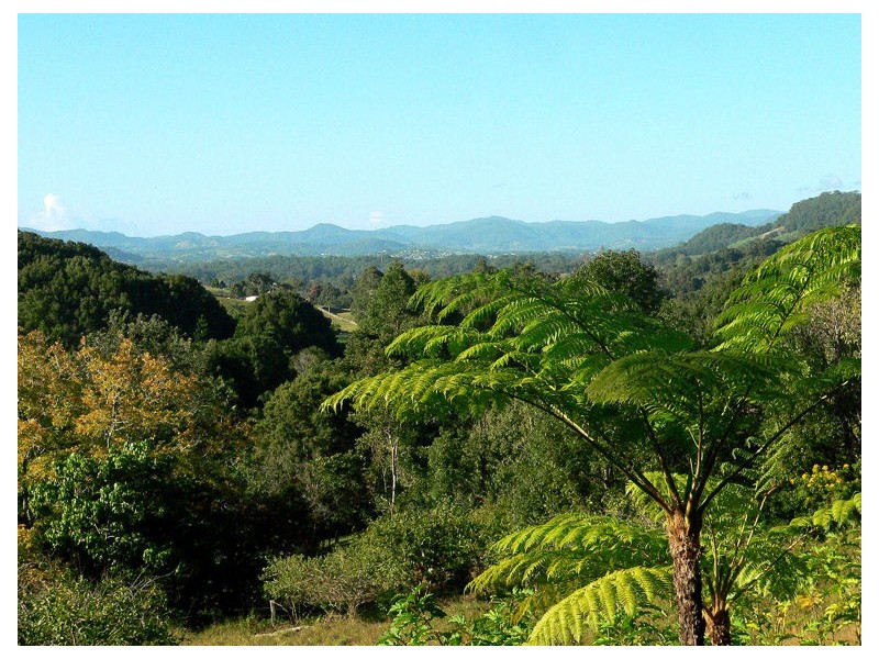 Lot 4 298 Dungay Creek Road * Dungay, Murwillumbah NSW 2484