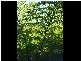 Lot 4 298 Dungay Creek Road * Dungay, Murwillumbah NSW 2484