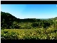 Lot 4 298 Dungay Creek Road * Dungay, Murwillumbah NSW 2484