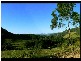 Lot 4 298 Dungay Creek Road * Dungay, Murwillumbah NSW 2484