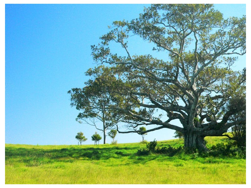 22 Sunnycrest Drive * Azure, Terranora NSW 2486