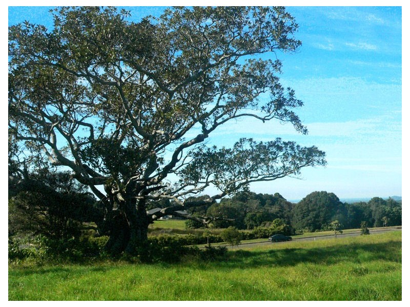 22 Sunnycrest Drive * Azure, Terranora NSW 2486