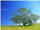 22 Sunnycrest Drive, Terranora NSW 2486