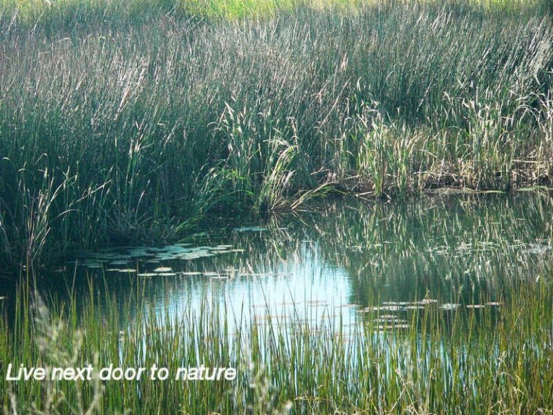 22 Sunnycrest Drive, Terranora NSW 2486