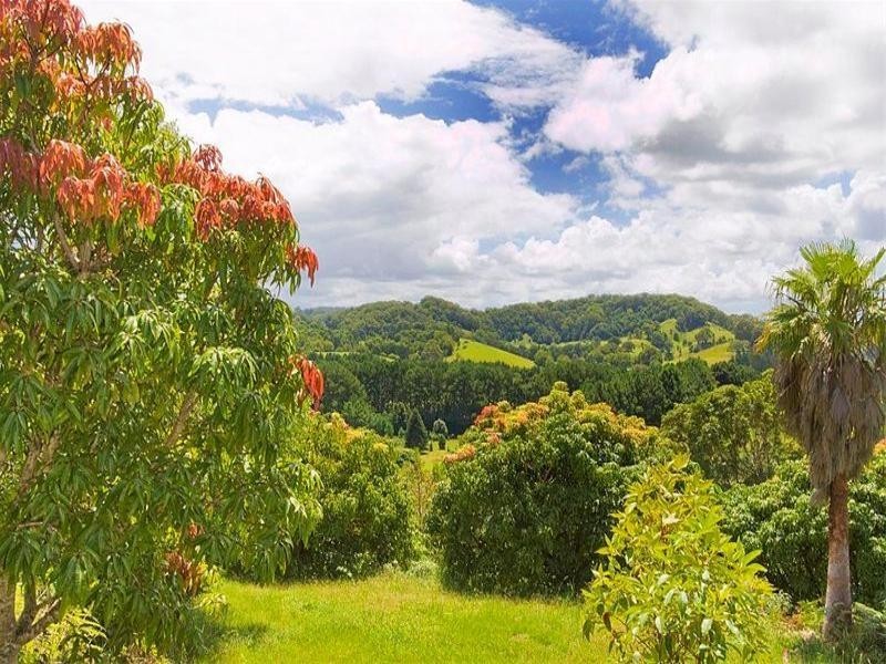 253 Palmvale Road, Palmvale NSW 2484