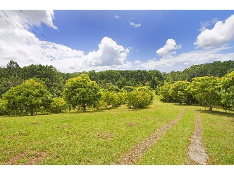 253 Palmvale Road, Palmvale NSW 2484