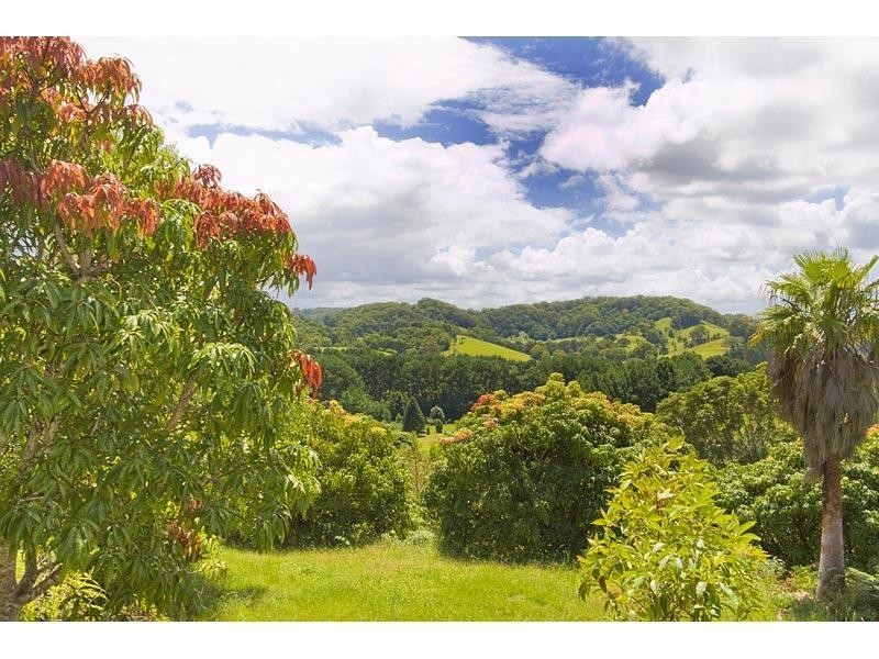 253 Palmvale Road, Palmvale NSW 2484