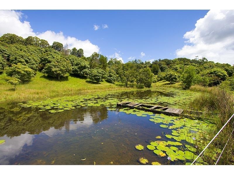 253 Palmvale Road, Palmvale NSW 2484