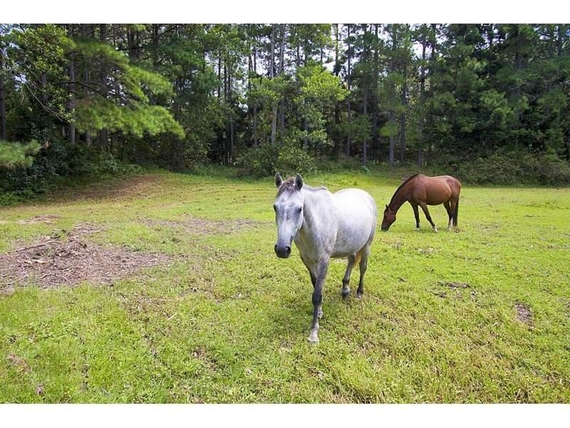 253 Palmvale Road, Palmvale NSW 2484